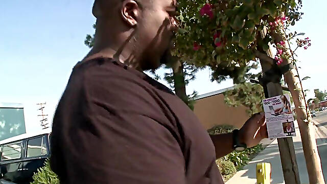 A Great Ass is Something to Behold. to Me, the Perfect Ass is Round and Meaty...