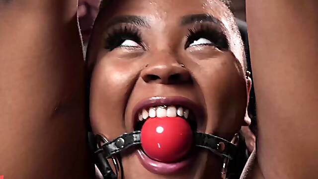 Big titties ebony hogtied and suspended